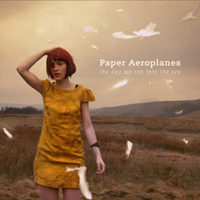 Paper Aeroplanes